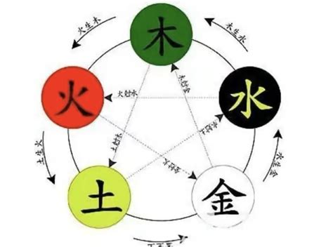 桐五行|桐字的五行是什么,桐的五行属性及吉利寓意